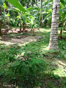 Land in Nittambuwa City Limit for Sale