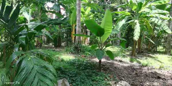 Land in Nittambuwa City Limit for Sale
