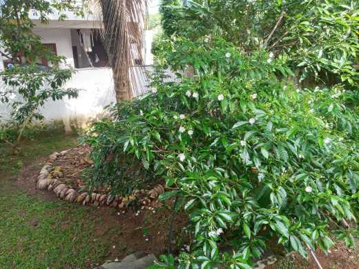 Prius G touring 2013