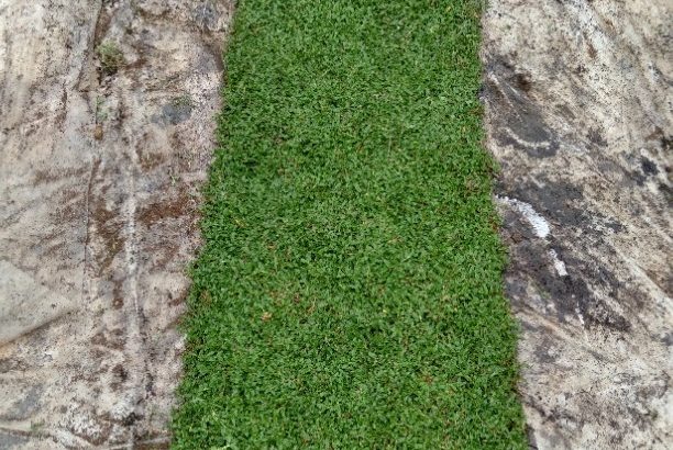 Rotisserie and Deep freezer  Bundle Offer