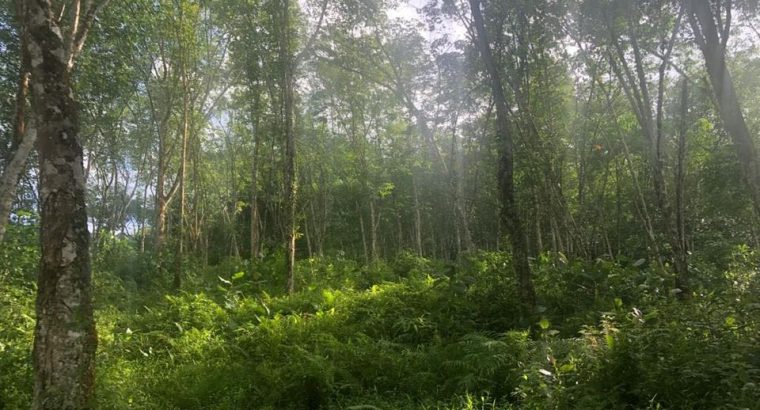 JOB PLACEMENT – WORK VISA Australia | Canada | Finland | Germany | UK | US | New Zealand | Lithuania