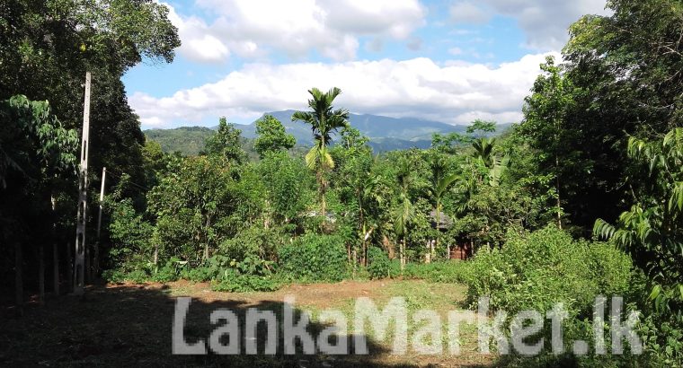 HOUSE FOR SALE or RENT