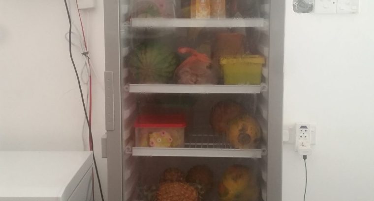 VW Type 3 bumper (1970-1973) in stainless steel