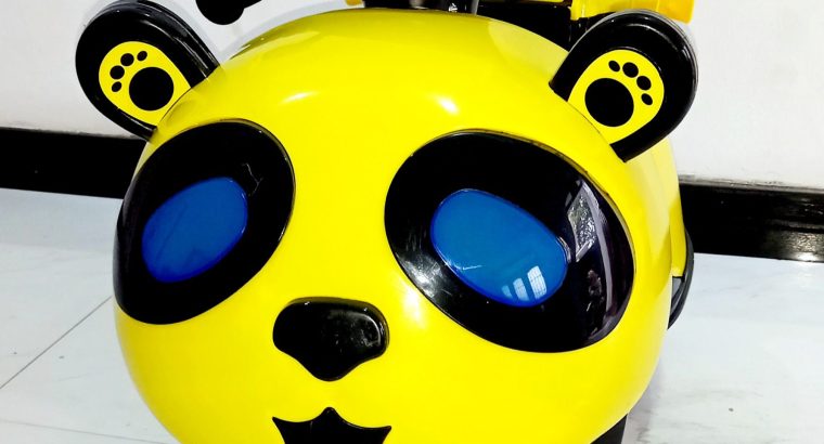 Golden Retriever male dog for crossing.