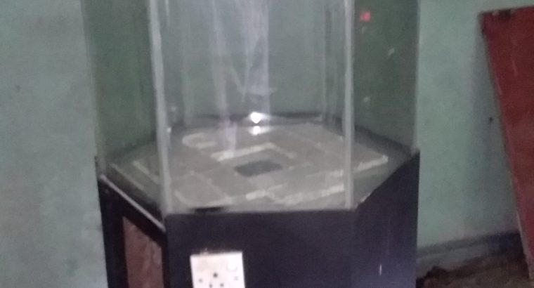 Nikon D3500 (15-55 MM Lense & 7-300MM Lense ) 2 backpacks