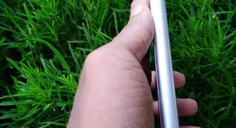 Incubator controller