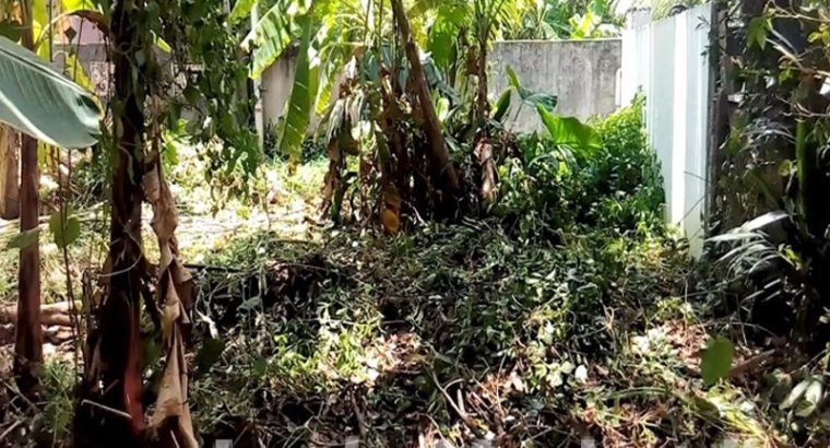 Furnished four Bed Room of a Apartment for Rent at Wellawatte, Colombo – 00600