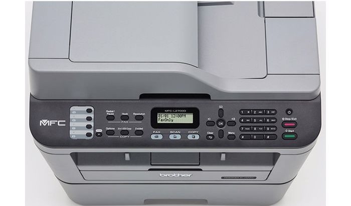 Each Head-Love Birds