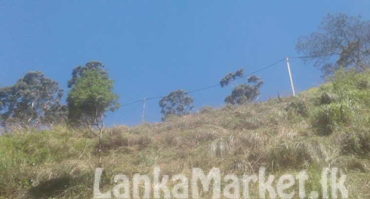 උදු අබරන යන්ත්‍රය