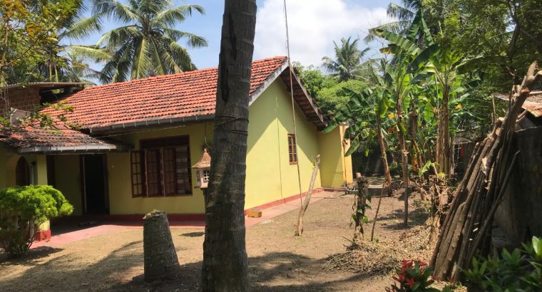 Volvo P1800ES Estate Station Wagon Bumpers