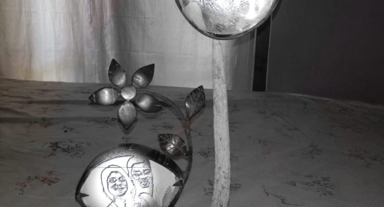 Wagon R side mirror Mh55