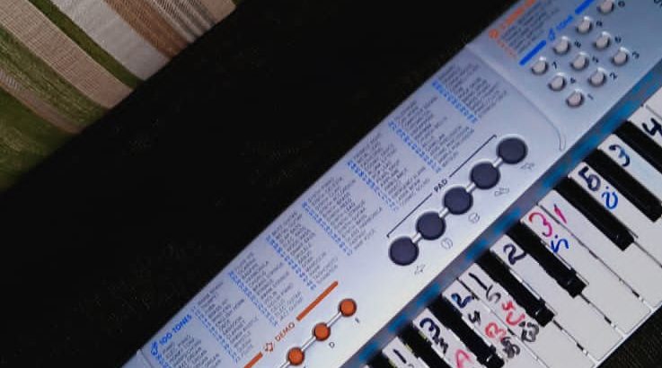 වටහා පරිප්පු අබරන යන්ත්‍රය