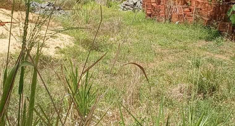 Fogg Scent For Men,100ml