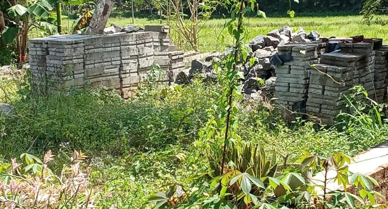 Fogg Scent For Men,100ml