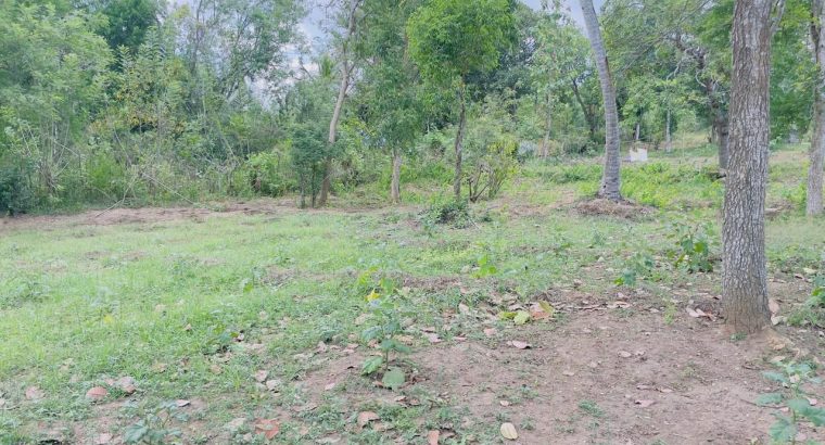 Land for Sale with House