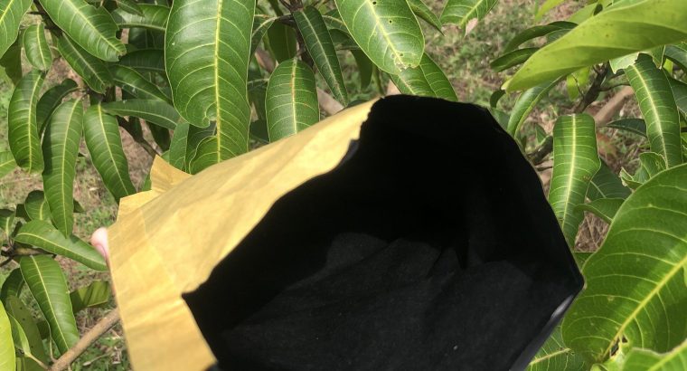 Wagon R side mirror Mh55