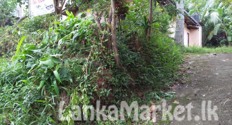 Toyota Prius S Grade for sale