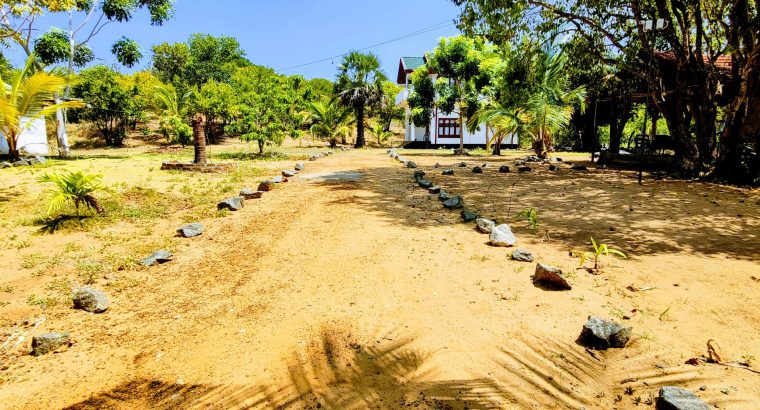 Alfa Romeo 2000 Touring Spider Bumpers