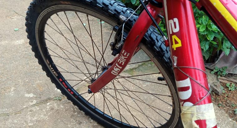 Extreme massive mass gainer