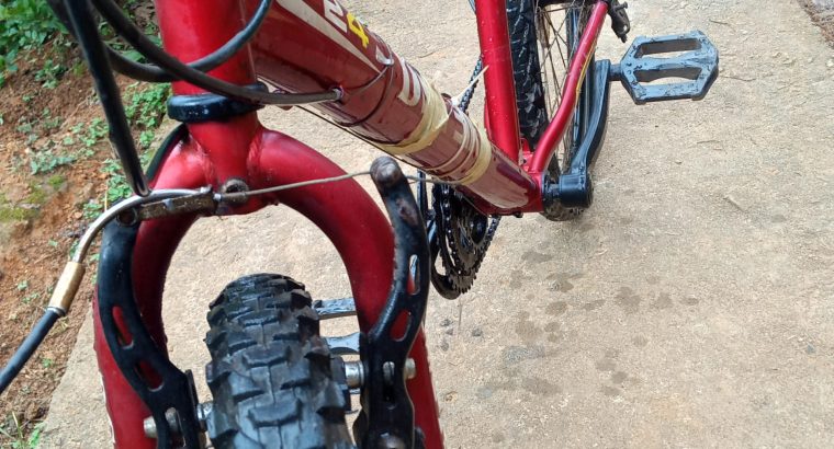 Extreme massive mass gainer