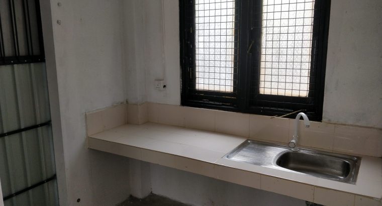 Morris Semi Acoustic Guitar for sale