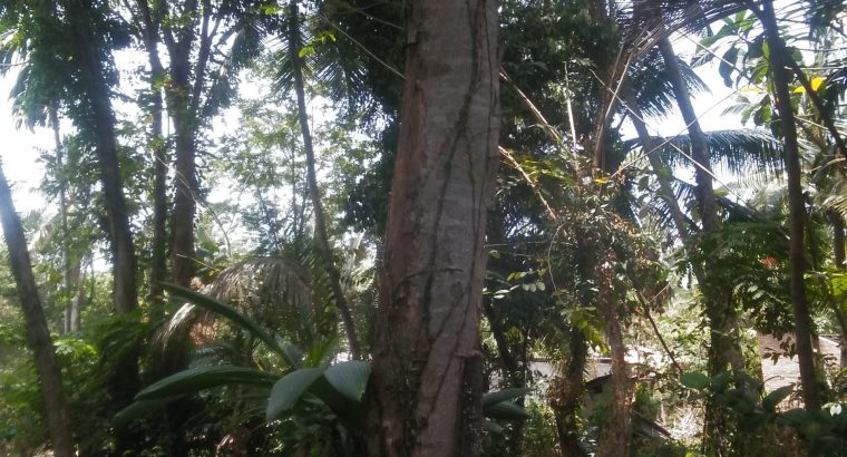 A 4 Color Print out Water Proof for sale