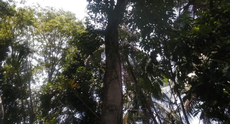 A 4 Color Print out Water Proof for sale