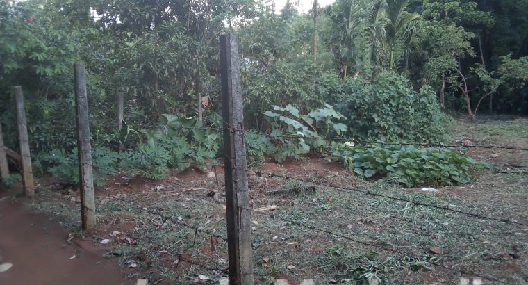 HOUSE FOR SALE or RENT