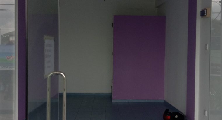 Mercedes W190 SL bumper (1955-1963) by stainless steel