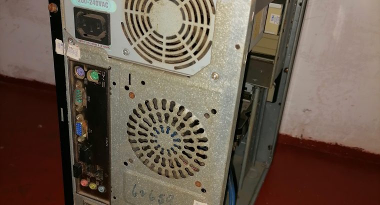 dobarman puppies for sale