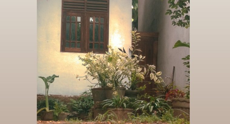 JBL Bluetooth Headset