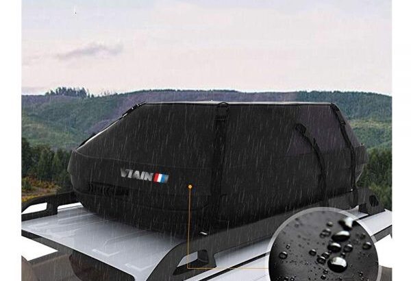 labrador Dog for crossing (stud)