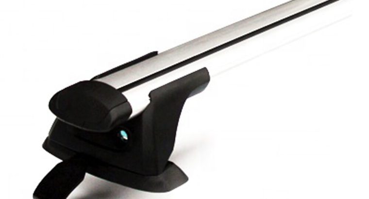 labrador Dog for crossing (stud)