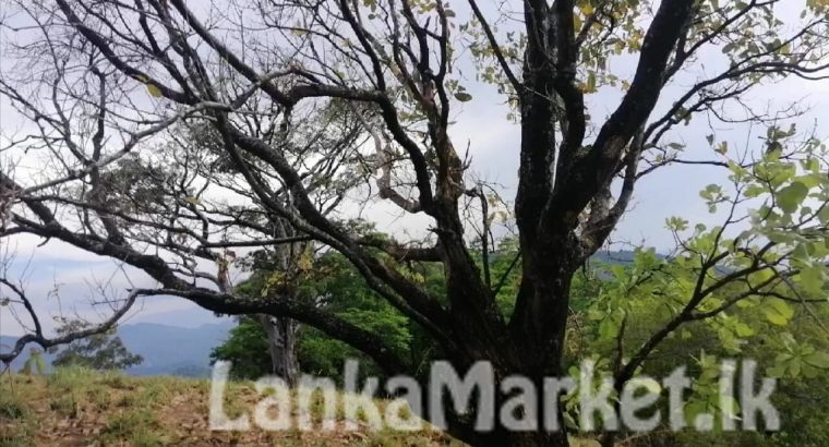 HP Notebook 15-DA0004TU