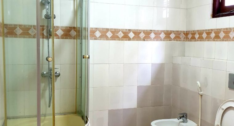 orijinal handsfree  akg.samsumg .tdk.lg.ymz.adidas