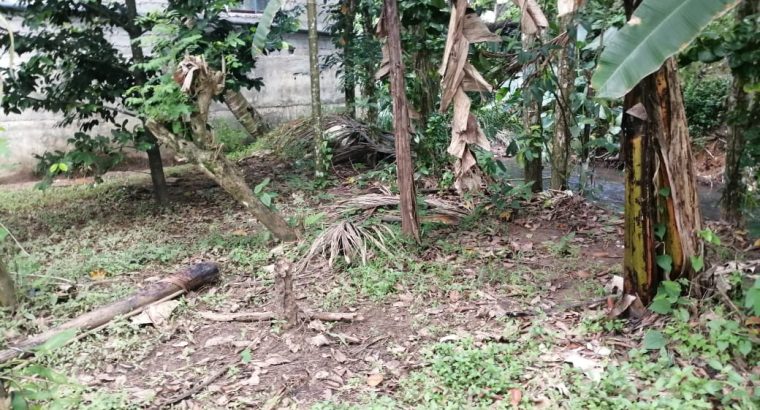 Apple iPhone 11 Pro Max 512Gb