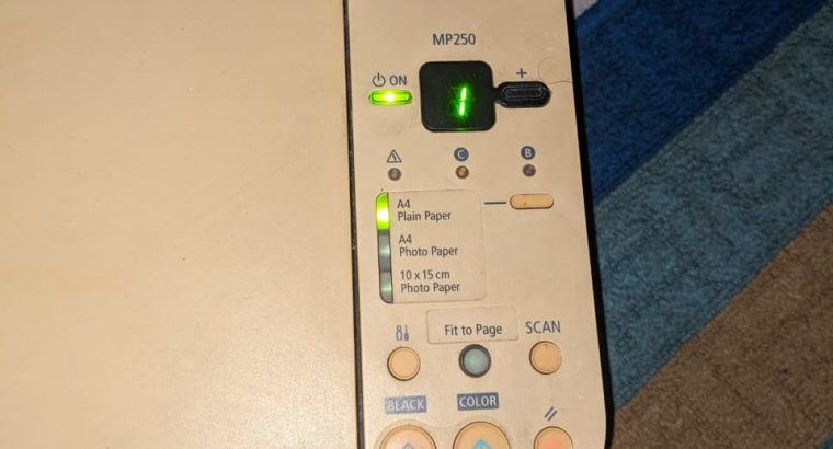 Mercedes 190 SL Roadster front grille