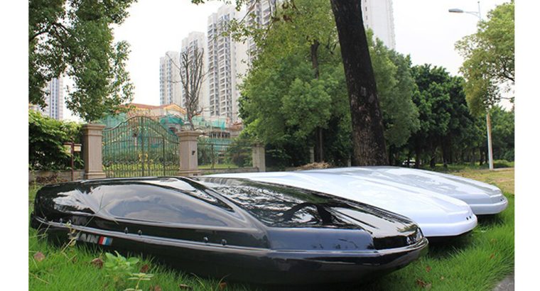 labrador Dog for crossing (stud)