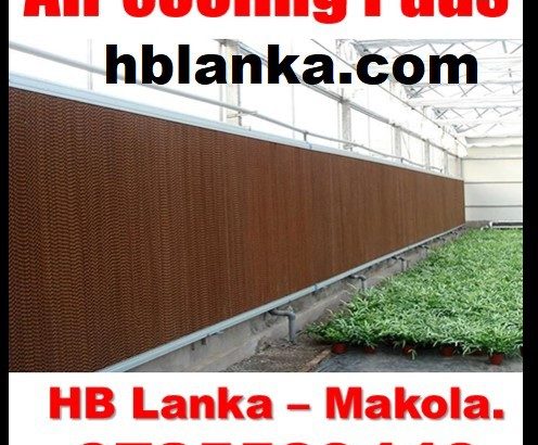 Indian soft setting sarees