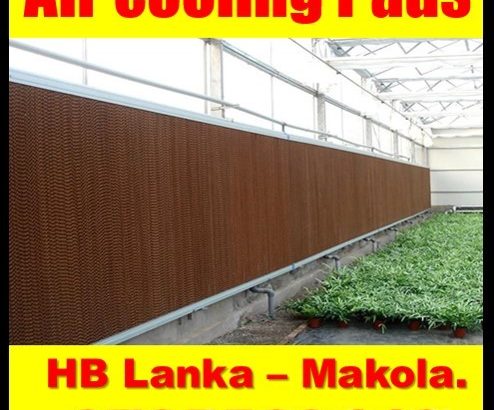 HP 10bII+ Financial Calculator