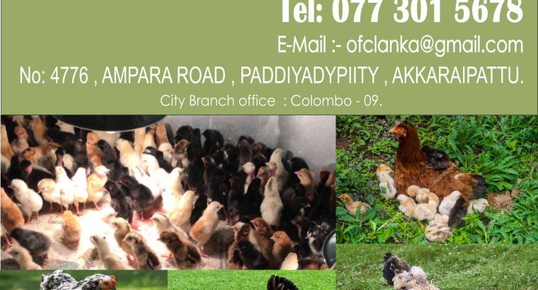 suzuki every wagon DA17