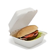 Tourism Camping Land