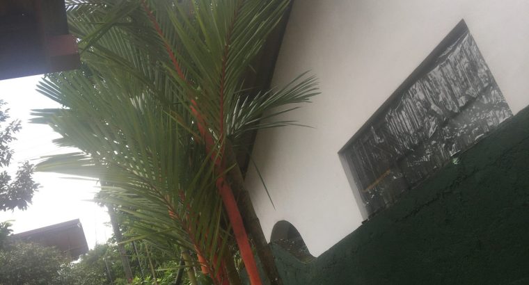 Gloves /අත්වැසුම්