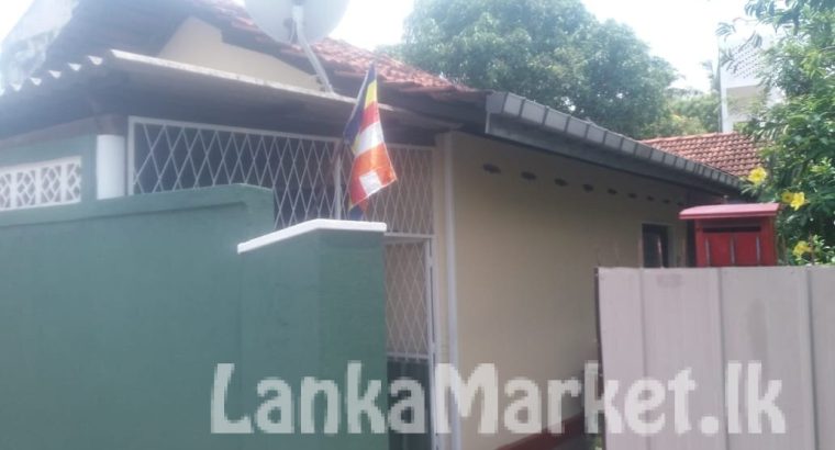 Fernandas guitar for sale