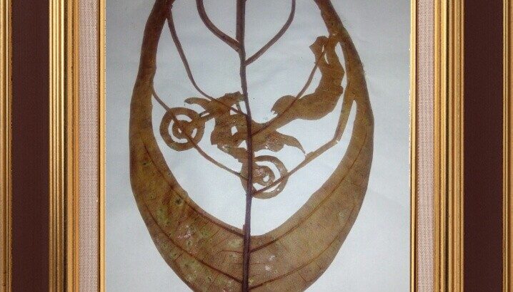 Office Space For Lease – Colombo 06