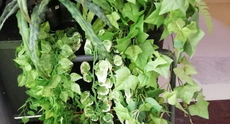 Two Story Luxury House for Sale