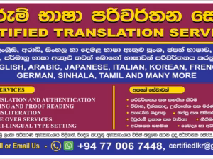 PROFESSIONAL TRANSLATON SERVICES